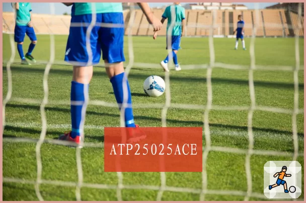 ATP25025ACE