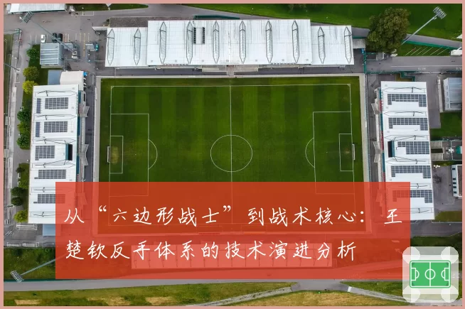 从“六边形战士”到战术核心：王楚钦反手体系的技术演进分析