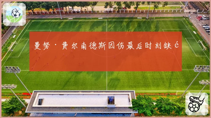 曼努·费尔南德斯因伤最后时刻缺阵